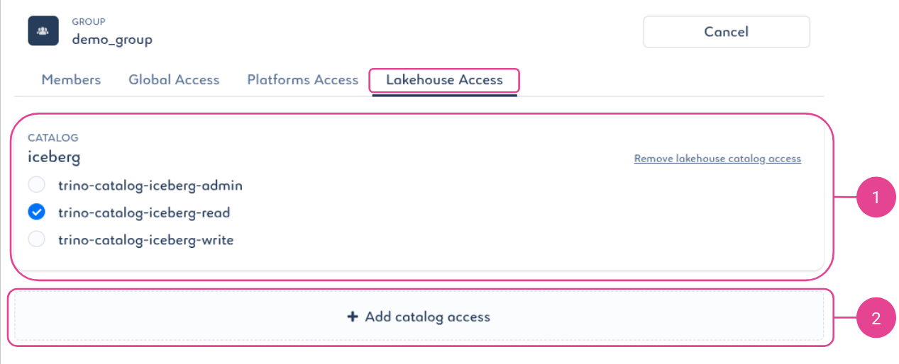 Screenshot of the "Lakehouse Access" tab in the group settings.