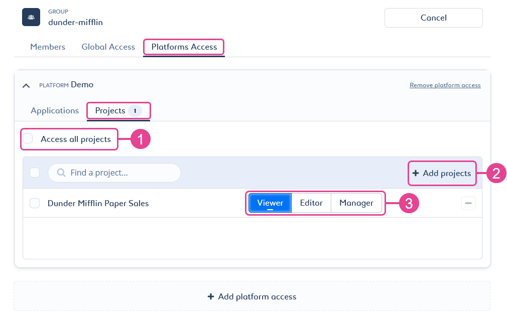Screenshot of the "Projects" sub-tab in the "Platform Access" tab in the group settings.